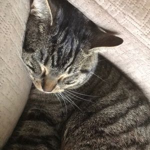 Meet your Posher, Kelly